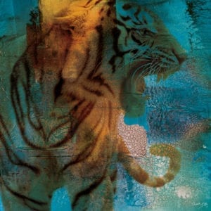 Kongen av katter i nydelige blånyanser.