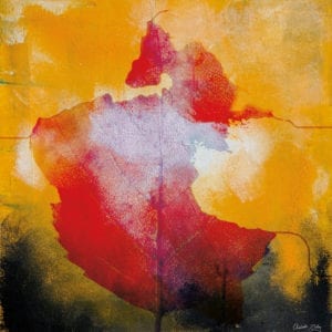 Kontrastens farger i høstens løv. En digital miks av fotografi og akrylmaleri.