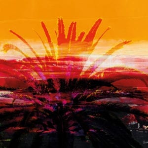 Fargedans med palmer. Fotografi og akrylmaleri i digital miks.