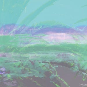 Digital miks av fotografi og akrylmaleri.