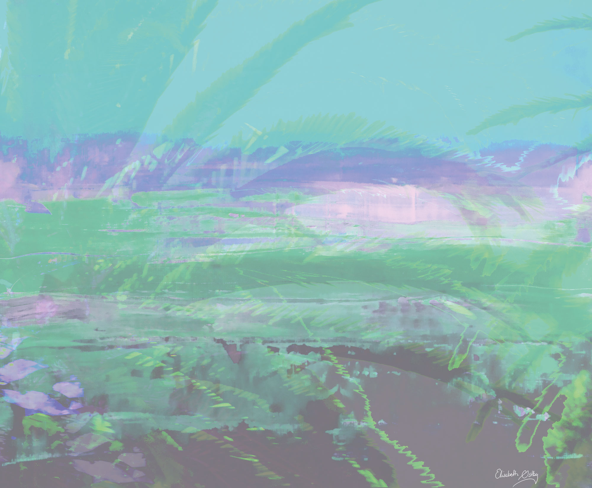 Digital miks av fotografi og akrylmaleri.