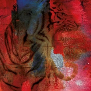 Innsalg: Kongen av katter i nydelige nyanser av rødt.