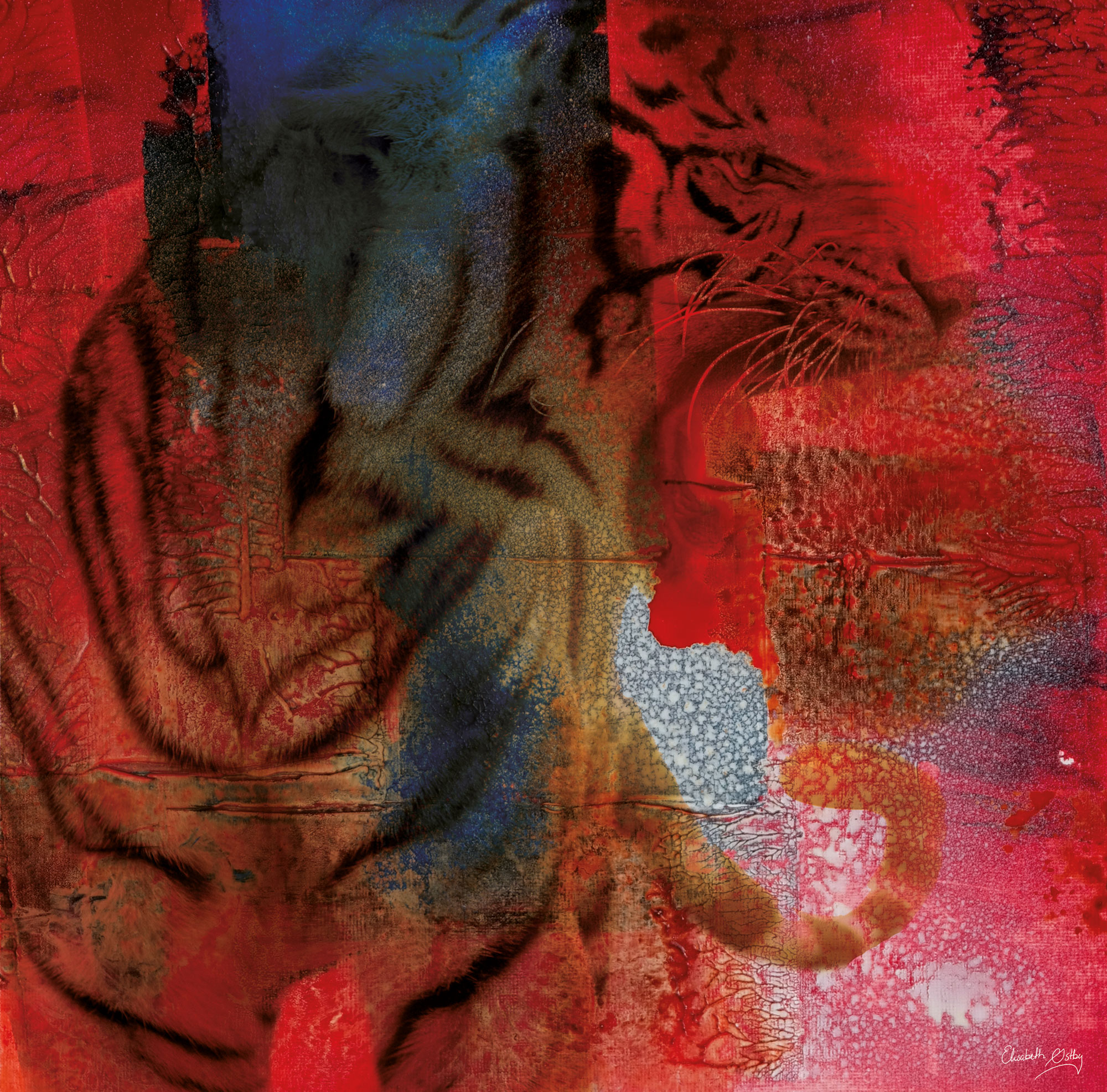 Innsalg: Kongen av katter i nydelige nyanser av rødt.