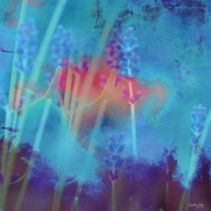 Digital miks av fotografi og akrylmaleri.