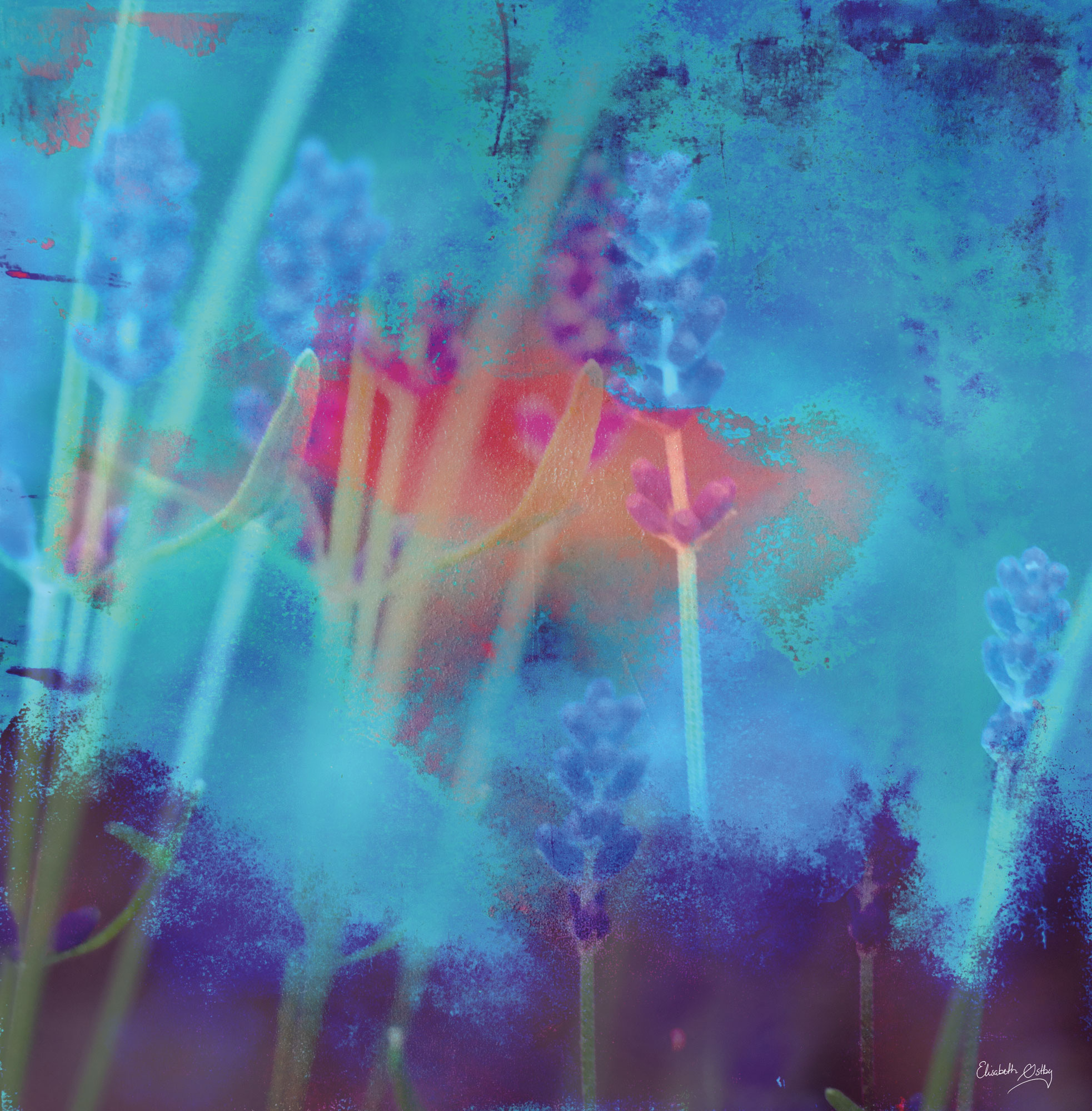 Digital miks av fotografi og akrylmaleri.