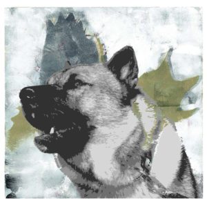 Elghund digitalt montert av Elisabeth Østby og Therese Heramb