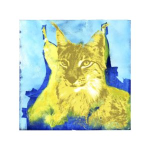 Ei gaupe med skarpe farger for å fremheve autoriteten sin. Egner seg best trykket på klar akryl for å få kunstuttrykket helt fullendt.