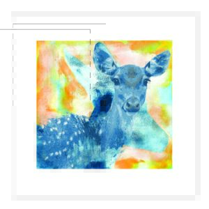 Nydelig rådyr med et våkent blikk. Egner seg best trykket på klar akryl for å få kunstuttrykket helt fullendt.