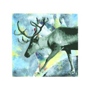 Reinsdyr på beite er sjelden å oppdage ute i naturen, hva med å forevige den på veggen i stedet? Egner seg best trykket på børstet aluminium eller klar akryl for å få kunstuttrykket helt fullendt.