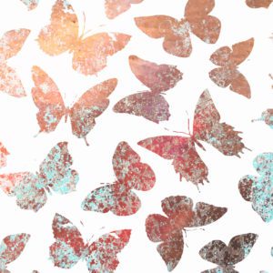 Sommerfugl. Fotomiks.