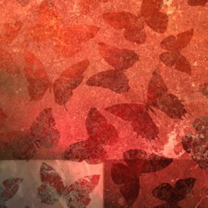 Rød sommerfugl. Fotomiks.